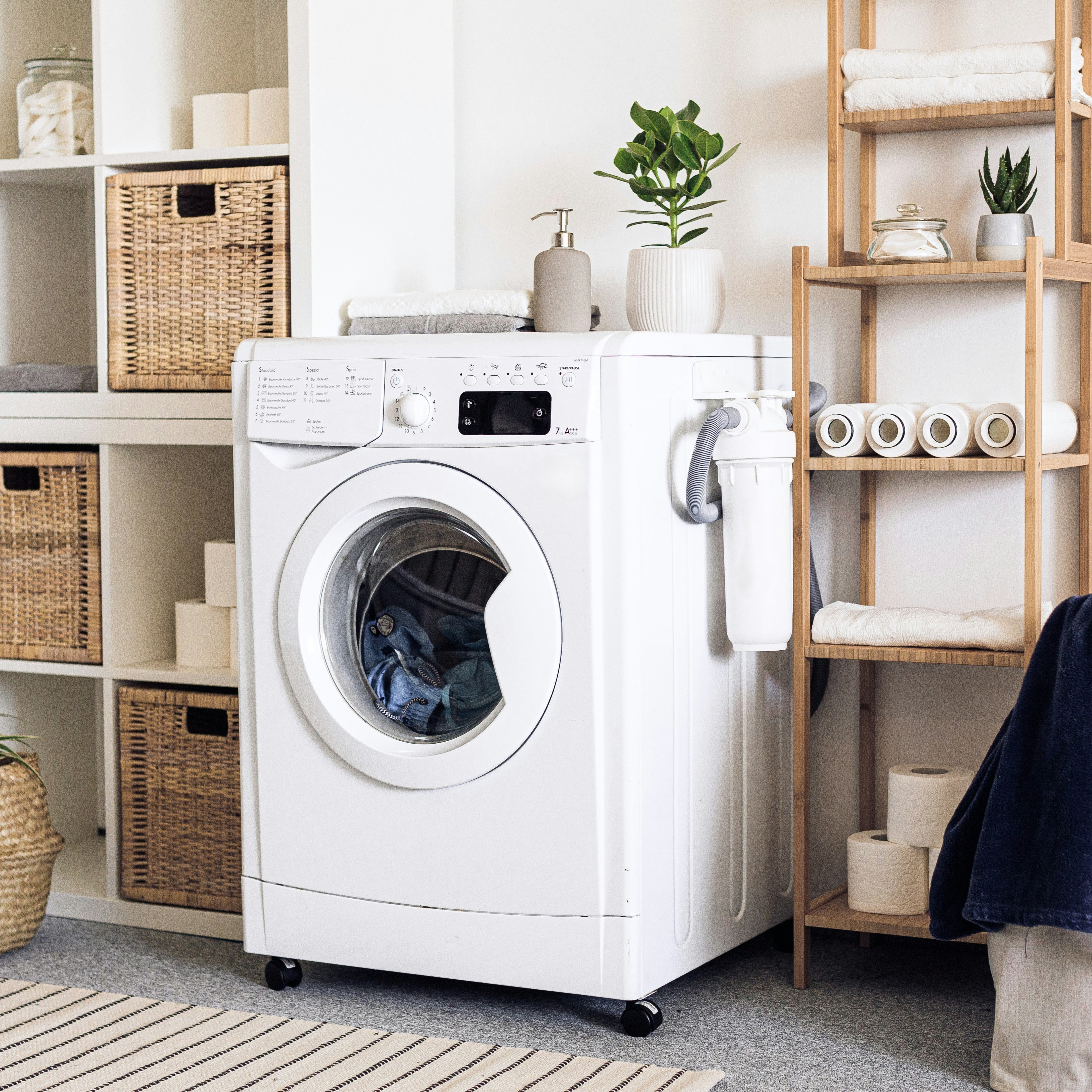 Organización y Limpieza