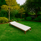 Tumbona Enrollable con Cabezal 180x50x4 cm Beige