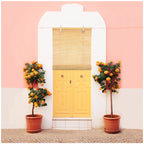 Persiana Enrollable de Bambú Natural Fino