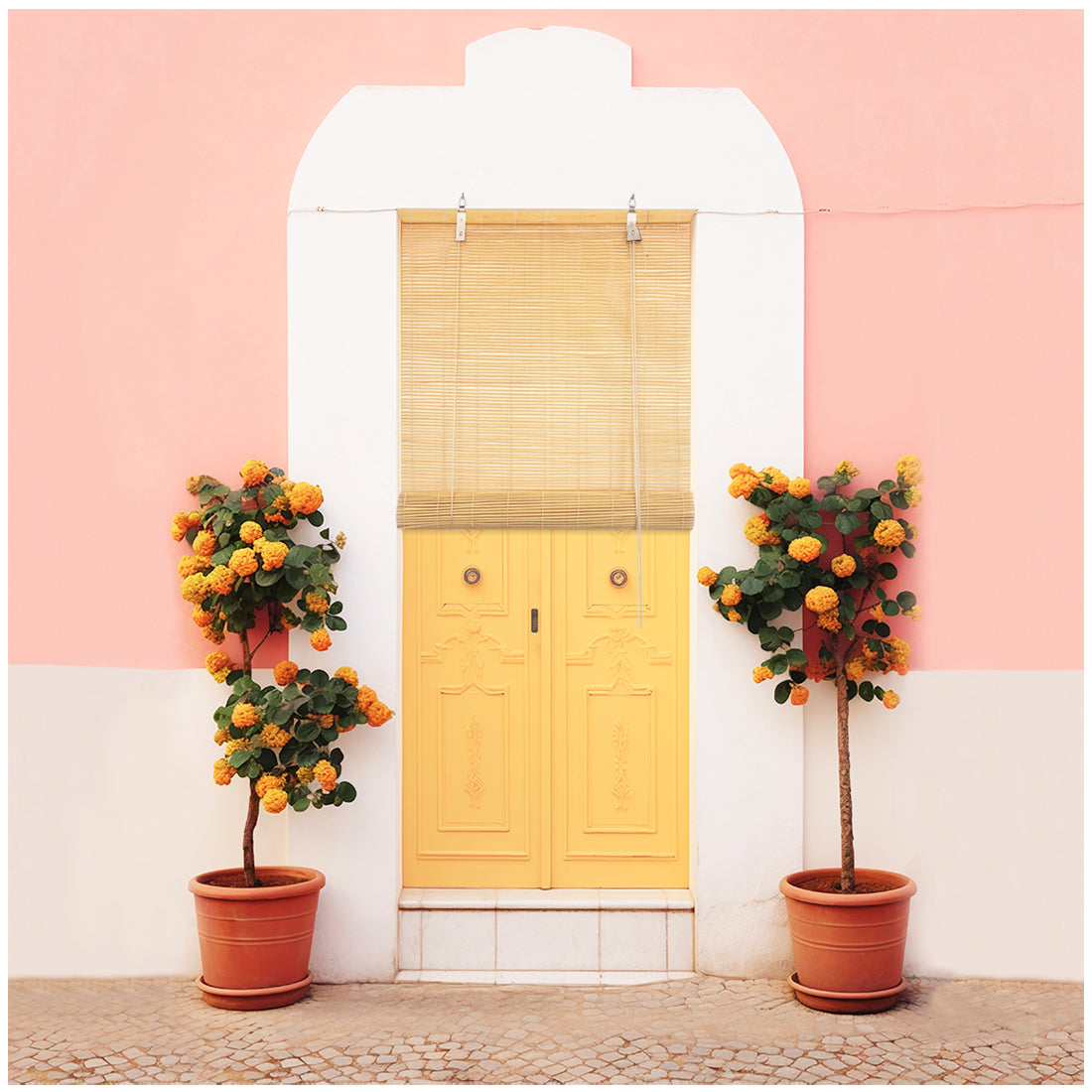 Persiana Enrollable de Bambú Natural Fino